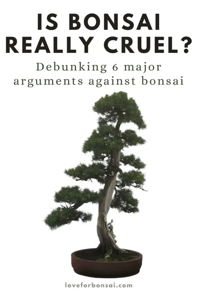 bonsai cruelty